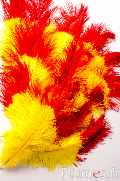 Autruche - 30-40 cm - jaune-rouge
